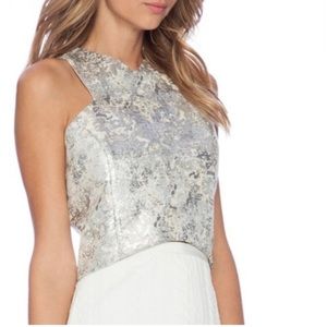 NWT Line & Dot Metallic Cameron Crop Top